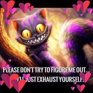 Meet your Posher, Desiree